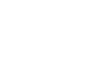 Organizer logo